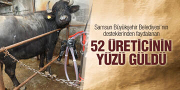 Samsun’da Manda Islah Projesi İle Üreticilerin Yüzü Güldü