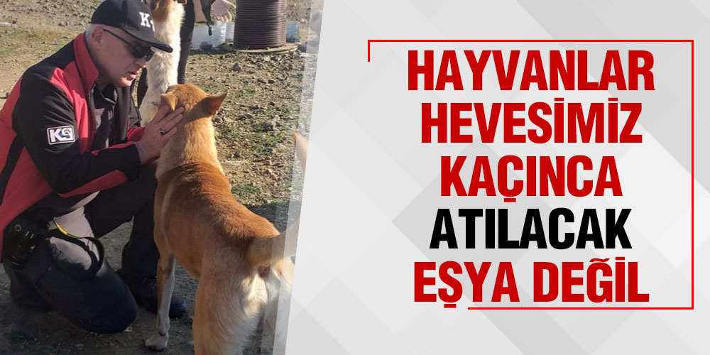 DÜNYADA TEK CANLI İNSANLAR DEĞİL HAYVAN DOSTLARIMIZA İHTİYACIMIZ VAR