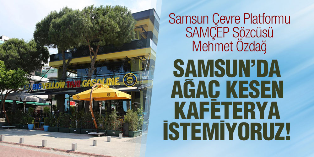 Samsun Çevre Platformu SAMÇEP Sözcüsü Mehmet Özdağ Kafeterya’nın Ağaç Kesmesini Eleştirdi