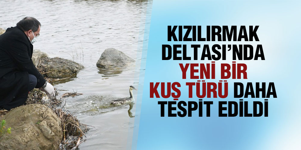 ‘Bahri’ ait olduğu yerde