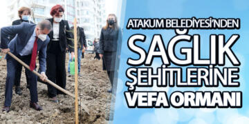 Atakum’da Sağlık Şehitleri İçin 150 Mimoza Fidanı Toprakla Buluştu 