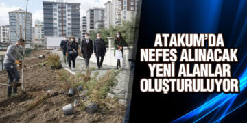 Afanlı Deresi Çevresi Yeni Çehresine Kavuşuyor