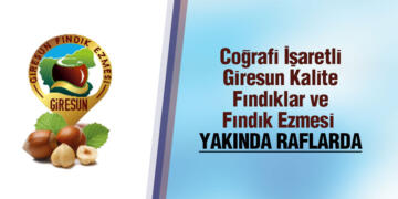 Coğrafi İşaretli Giresun Fındık Ezmesi Yakında Raflarda