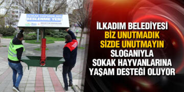 İlkadım Belediyesi, Sokak Hayvanlarına Yaşam Desteği Oluyor