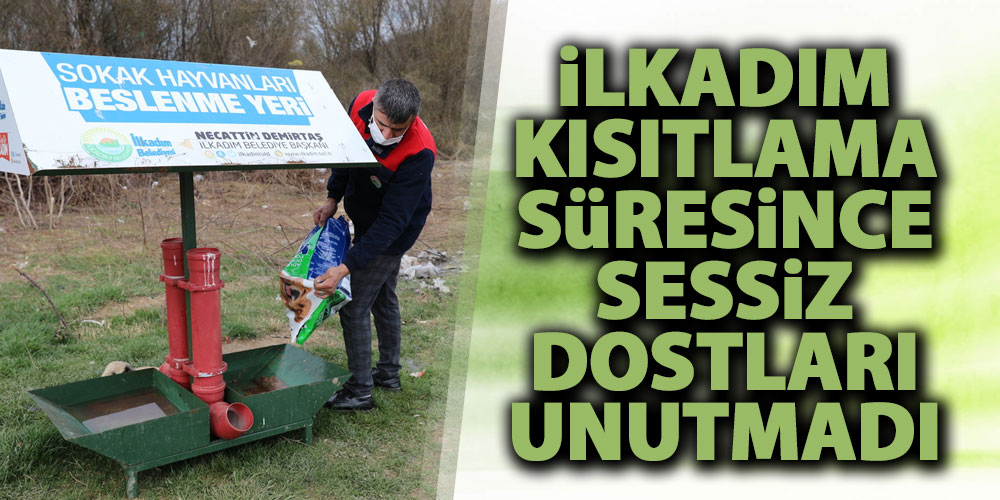 İlkadım Kısıtlama Süresince Sessiz Dostları Unutmadı