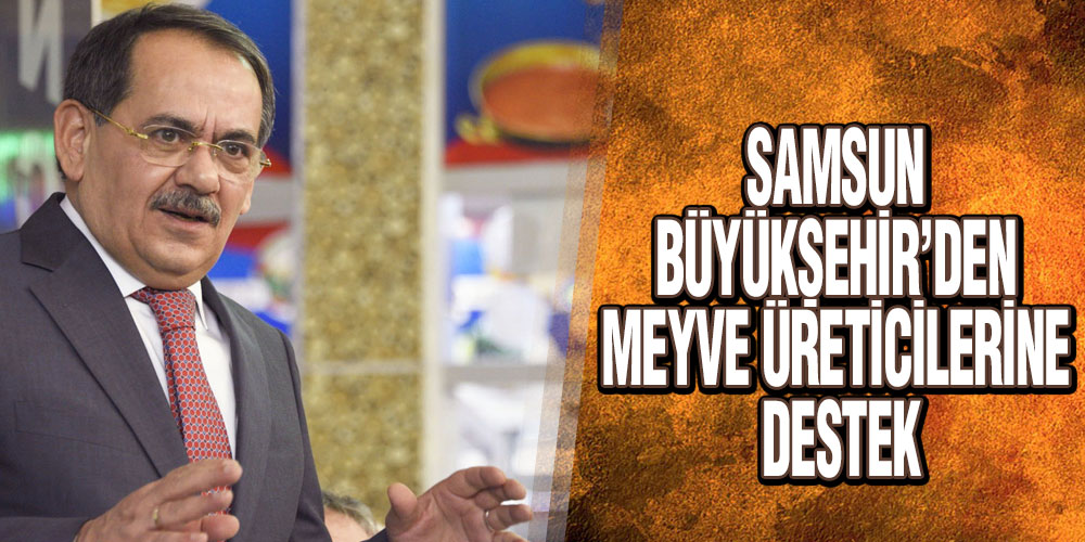 Samsun Büyükşehir’den Meyve Üreticilerine Destek