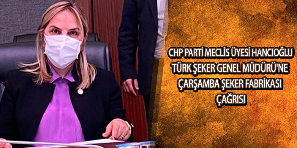 CHP’li Hancıoğlu, ‘Eylül ayına kadar faaliyete girmelidir’