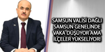 Vali Dağlı, Terme’de İncelemelerde Bulundu