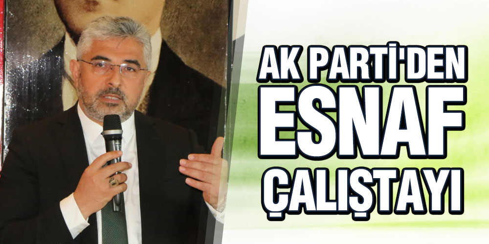 AK PARTİ’DEN ESNAF ÇALIŞTAYI