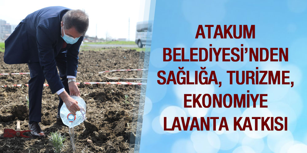 Lavanta Bahçeleri Atakum’a Derin Nefes Aldıracak