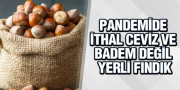 Sevinç’ten Fındık Açıklaması