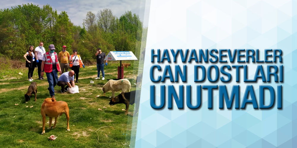 Samsunlu hayvanseverler 1 günde 400’e yakın sokak hayvanı besledi