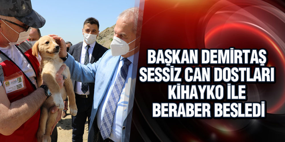 Başkan Demirtaş, Sessiz Can Dostları Kihayko Elleriyle Besledi