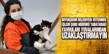 Samsun Büyükşehir’den Yavru Hayvan Uyarısı