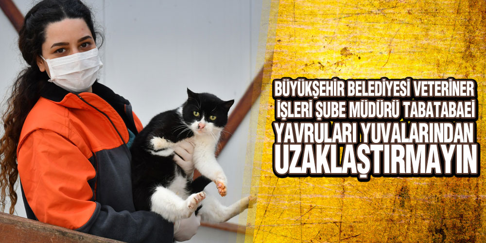 Samsun Büyükşehir’den Yavru Hayvan Uyarısı