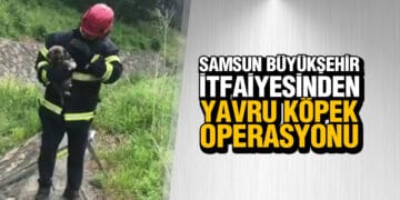 Dereye düşen yavru köpek kurtarıldı