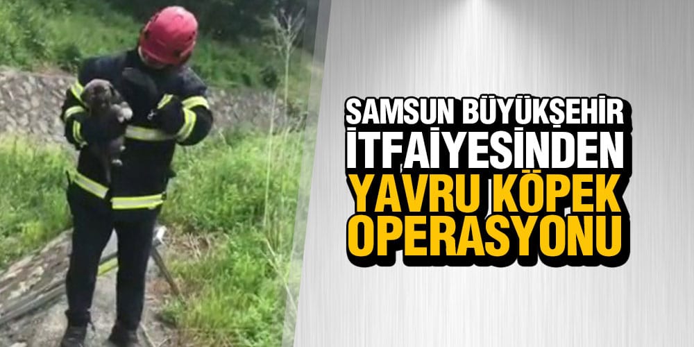 Dereye düşen yavru köpek kurtarıldı