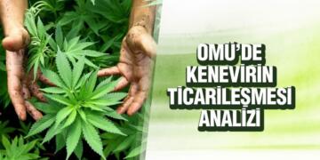 OMÜ’de Kenevirin Ticarileşmesine Yönelik Durum Analizi