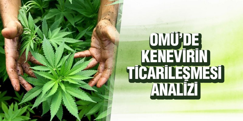 OMÜ’de Kenevirin Ticarileşmesine Yönelik Durum Analizi