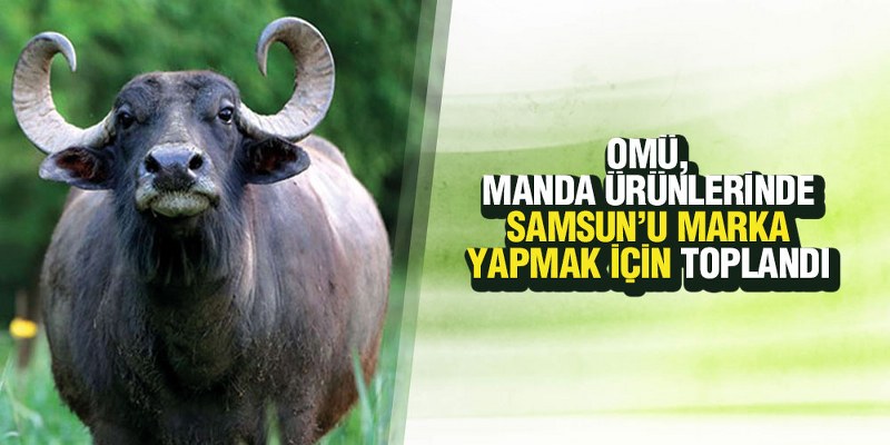 OMÜ, Manda Ürünlerinde Samsun’u Marka Yapmak için Toplandı