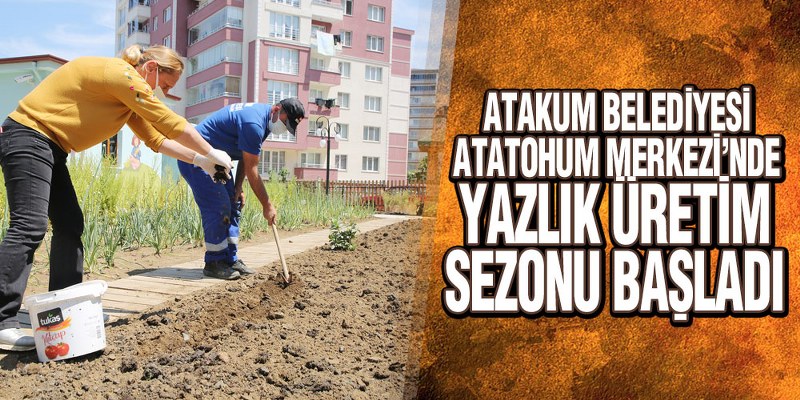 AtaTohum’da Yaz Fideleri Toprakla Buluştu