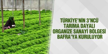 Bafra Markalaşıyor