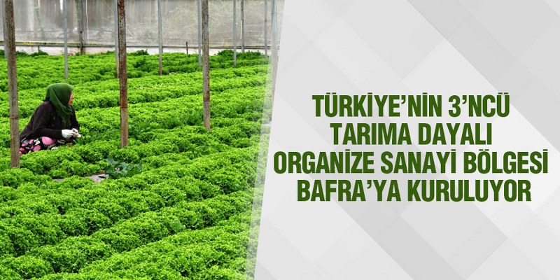 Bafra Markalaşıyor