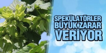 KFMİB Başkanı Sevinç, Üretimden Tüketime Fındığı Değerlendirdi