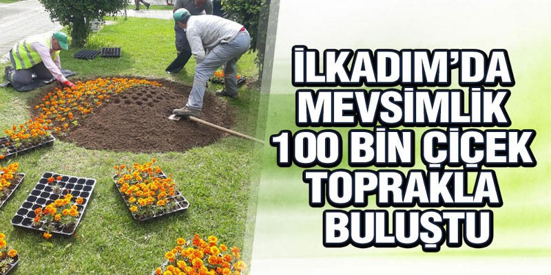 İlkadım’da Mevsimlik 100 Bin Çiçek Toprakla Buluştu