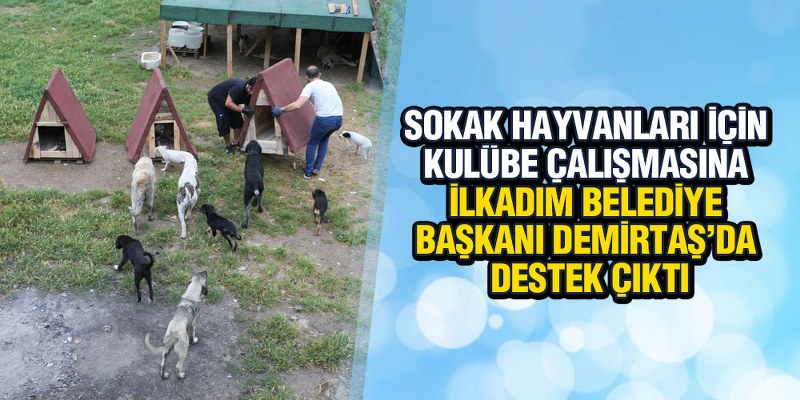 Sokak Hayvanları İçin Kulübe Çalışmasına Başkan Demirtaş’da Destek Çıktı