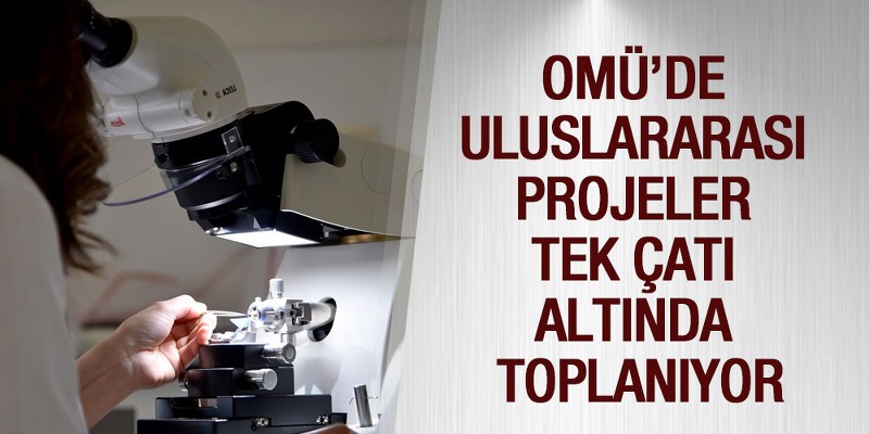 OMÜ’de Uluslararası Projeler Tek Çatı Altında Toplanıyor