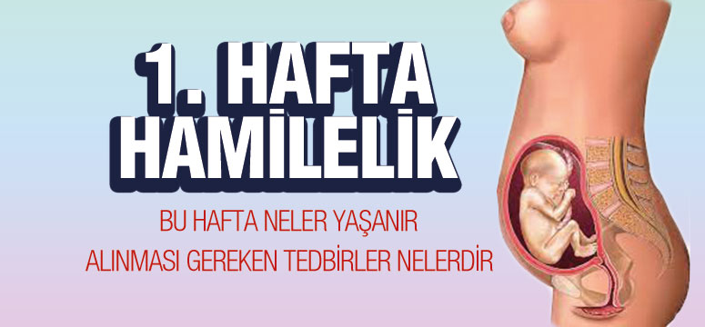 1. Hafta Hamilelik