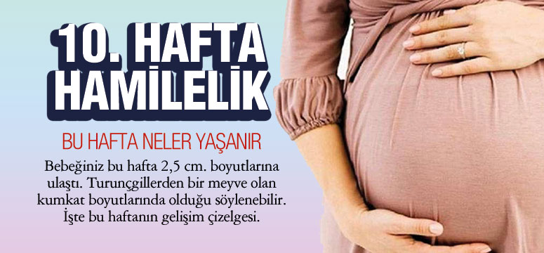 10. Hafta Hamilelik