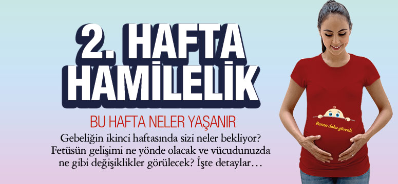 2. Hafta Hamilelik