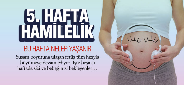 5. Hafta Hamilelik
