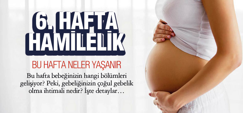 6. Hafta Hamilelik