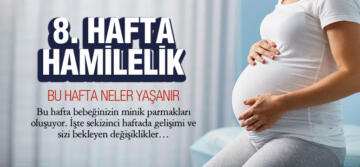 8. Hafta Hamilelik