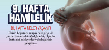 9. Hafta Hamilelik