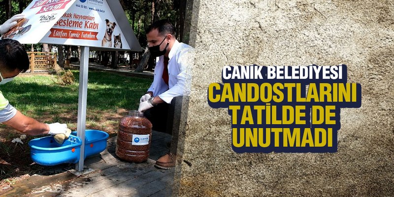 Canik Belediyesi, Can Dostlarını Tatilde de Unutmadı