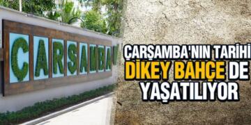Çarşamba’nın Tarihi Dikey Bahçe de Yaşatılıyor