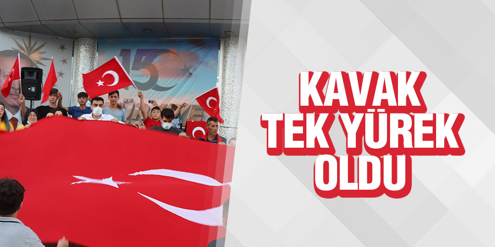 KAVAK TEK YÜREK OLDU