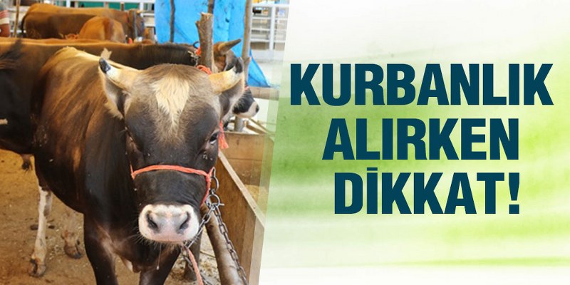 Kurbanlık Hayvan Alırken Dikkat!