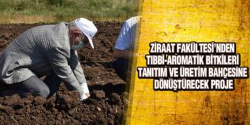 Ziraat Fakültesi’nden Tıbbi-Aromatik Bitkileri Projesi