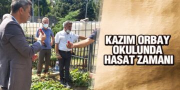 Kazım Orbay Okulunda, Hasat Zamanı