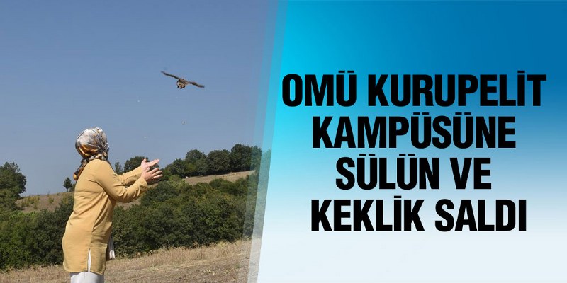 OMÜ Kurupelit Kampüsüne Sülün ve Keklik Saldı