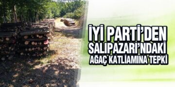 İYİ Parti’den Salıpazarı’ndaki ağaç katliamına tepki