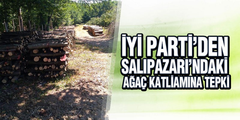 İYİ Parti’den Salıpazarı’ndaki ağaç katliamına tepki
