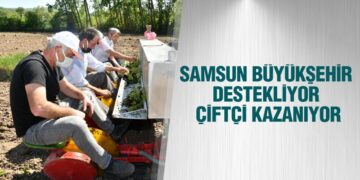 Samsun Büyükşehir Destekliyor, Çiftçi Kazanıyor