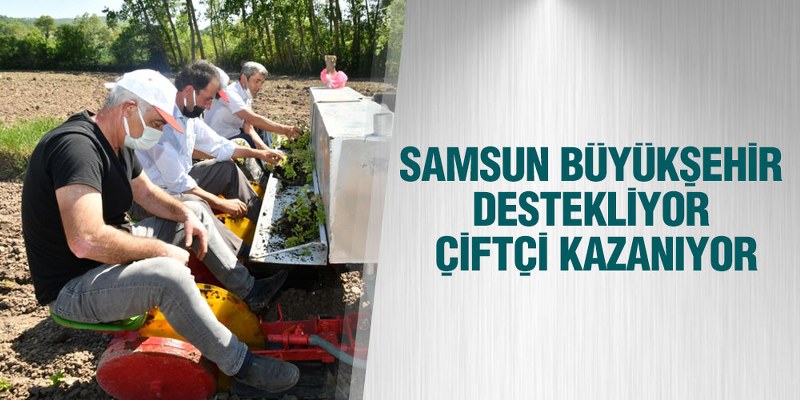Samsun Büyükşehir Destekliyor, Çiftçi Kazanıyor