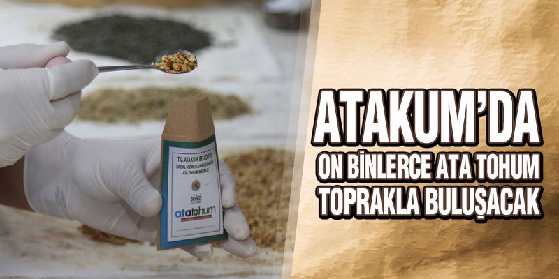 Atakum Belediyesi’nden Üreticiye Ata Tohum Desteği